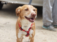 Rodri -ein ganz besonderer Schatz