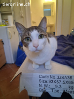 ROMEO 2 - MOECHTE NICHT MEHR AUF DIE STRASSE  NUR ALLEINE