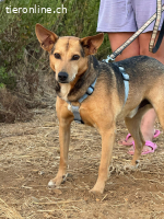 ROMEO UND JULIETA SIND EIN HERZ UND EINE SEELE