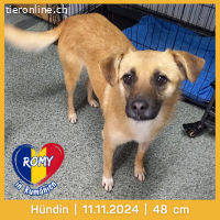 Romy, auf der suche nach Liebe und Geborgenheit