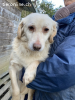 Ruby - vom Dunkel ans Licht