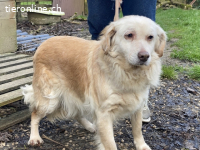 Ruby - vom Dunkel ans Licht