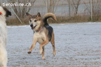 Rudi sucht Partner fürs restliche Leben! (9 Jahre)