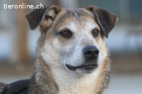 Rudi sucht Partner fürs restliche Leben! (9 Jahre)