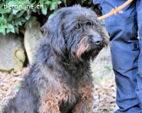 Rufino - 10 Schritte....