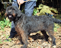 Rufino - 10 Schritte...