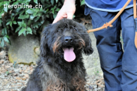 Rufino - 10 Schritte...