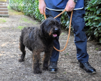 Rufino - 10 Schritte...