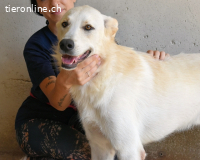 Rurik - das geheime Feuerwerk