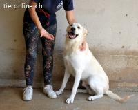 Rurik - das geheime Feuerwerk