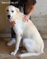 Rurik - das geheime Feuerwerk