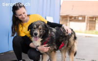 Sabine - offen, fröhlich und wunderhübsch.