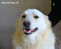 Sadye - Eintritt frei