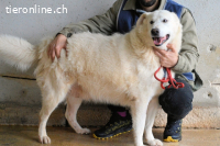 Sallustio - Der Sinn des Lebens...