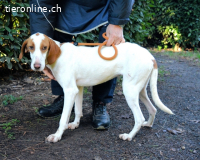 Samarie - Abenteuerlust und Kuschelzeit