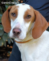 Samarie - Abenteuerlust und Kuschelzeit