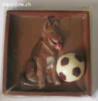 HUNDE AUS SCHOKOLADE