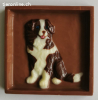 HUNDE AUS SCHOKOLADE
