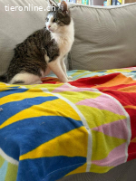 Schüchterne Runa möchte so gerne ankommen