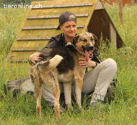 Scooby - ein richtig grosser Hundeschatz