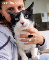 SCOUT - FOLGT DEN MENSCHEN WIE EIN TREUER HUND