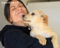 Sirette - ...und Sniffy halten zusammen