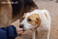 Sissi  – vorsichtige Schmusebacke