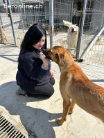 Skippy ein Überlebungskünstler sucht sein Zuhause