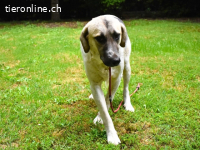 Skitter - Ein Jahr im Schatten – jetzt will er ins Licht!