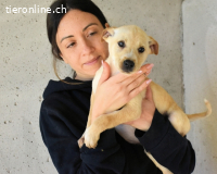 Sniffy - ...und Sirette halten zusammen