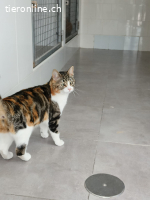 Sofia - Besondere Schönheit mit charmantem Blick