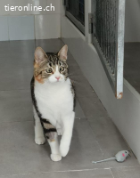 Sofia - Besondere Schönheit mit charmantem Blick