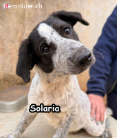 SOLARIA