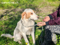 SOLE sehr brav und ruhig