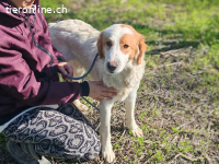 SOLE sehr brav und ruhig