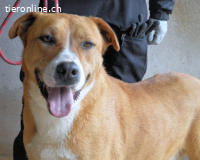 Spielberg - der Dreh seines Lebens