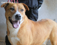 Spielberg - der Dreh seines Lebens