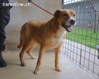 Spielberg - der Dreh seines Lebens