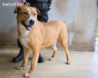 Spielberg - der Dreh seines Lebens