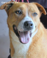 Spielberg - der Dreh seines Lebens