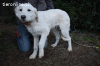 Stobin - So jung und so chancenlos ...