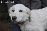 Stobin - So jung und so chancenlos ...