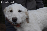 Stobin - So jung und so chancenlos ...