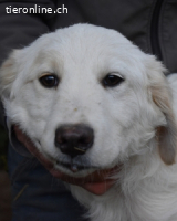 Stobin - So jung und so chancenlos ...