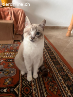 Süsse Beanie sucht ihre Lieblingsmenschen