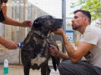 Sultan ist eine Seele - ein wahrer Freund