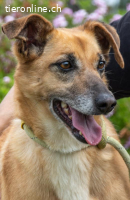 Sunny, eine selbstbewusste Dame!