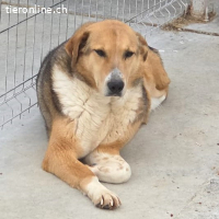 Sunny- stiller Sonnenschein auf der suche nach  dir