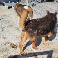 Sunny- stiller Sonnenschein auf der suche nach  dir