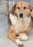 Sunny- stiller Sonnenschein auf der suche nach  dir